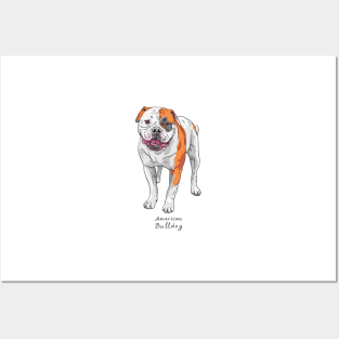 American Bulldog Posters and Art